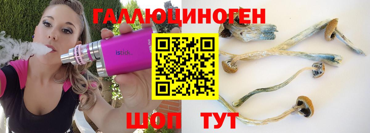 Гурьевск  Галлюциногенные грибы мухоморы  Вход с VPN 
